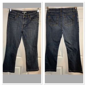 Cabi Contemporary Fit Jeans SZ 6 Boot Cut Med wash